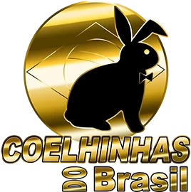 Imagem da logomarca do melhor portal de acompanhantes de luxo de Fortaleza - COELHINHA DO BRASIL.